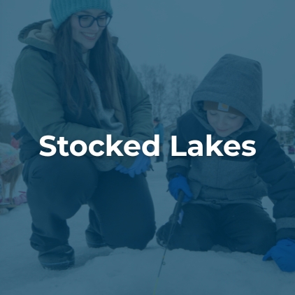 Lake Database