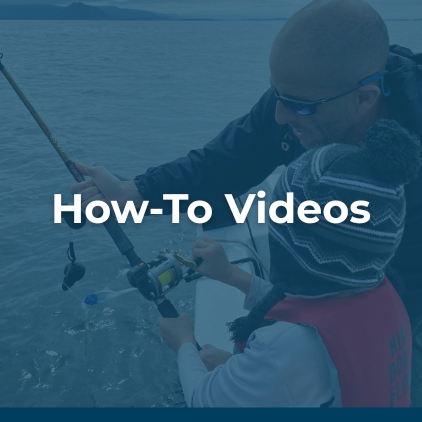 Fishing Videos