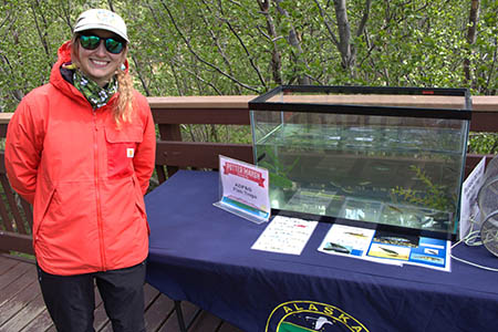 ADFampG fisheries biologist Taylor Cubbage showcases an aquarium with some of the fish that can be found in the waters of Potter Marsh