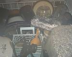 In the fish cooker Riley Woodford photo