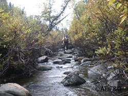 Assessing a stream