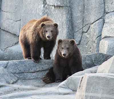 Munsey and Boda in 2016