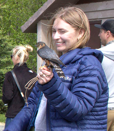 A member of the Alaska Falconers Association with a small falcon