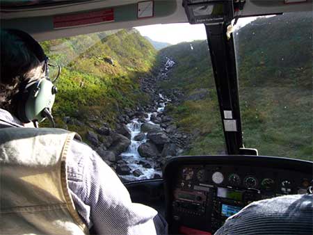 Helicopter reconnaissance in the canyon of Upper Allison Creek near Valdez  Yes we are flying  Photo MD Miller 924 2010