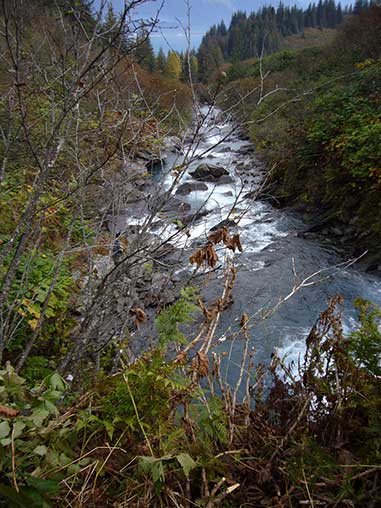 Allison Creek View is looking downstream below the canyon area Lots of alder and devils club  Valdez is seen in the background  Photo MD Miller 924 2010