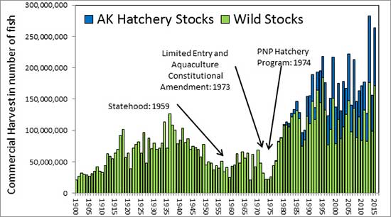 Commercial salmon harvest in Alaska 1900ndash2015 The 2013 salmon season was a state record harvest overall with a commercial harvest of 283 million fish  The 2015 season was second at 264 million fish