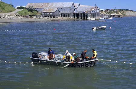 A setnet skiff Photo by Mark Emery
