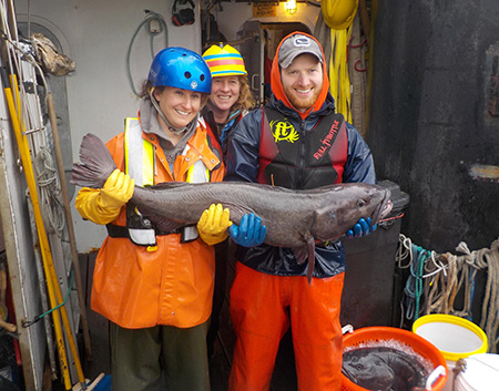 GroundfishShellfish Coordinator Andrew Olson right with former groundfish biometrician Jane Sullivan left and Medeia crewmember Becky Wilson with a big black cod The orange tag is visible in the dorsal fin near the center of the image The fish was released alive Photo by Aaron BaldwinADFampG