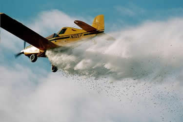 Juvenile salmon are released aerially in May or June as fry or in August as presmolt The salmon spend one or two winters in Spiridon Lake before they leave the lake as smolt and migrate toward the ocean