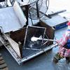 The sonar site also captures fish in a fish wheel to help fisheries
biologists separate sonar-detected fish by species.