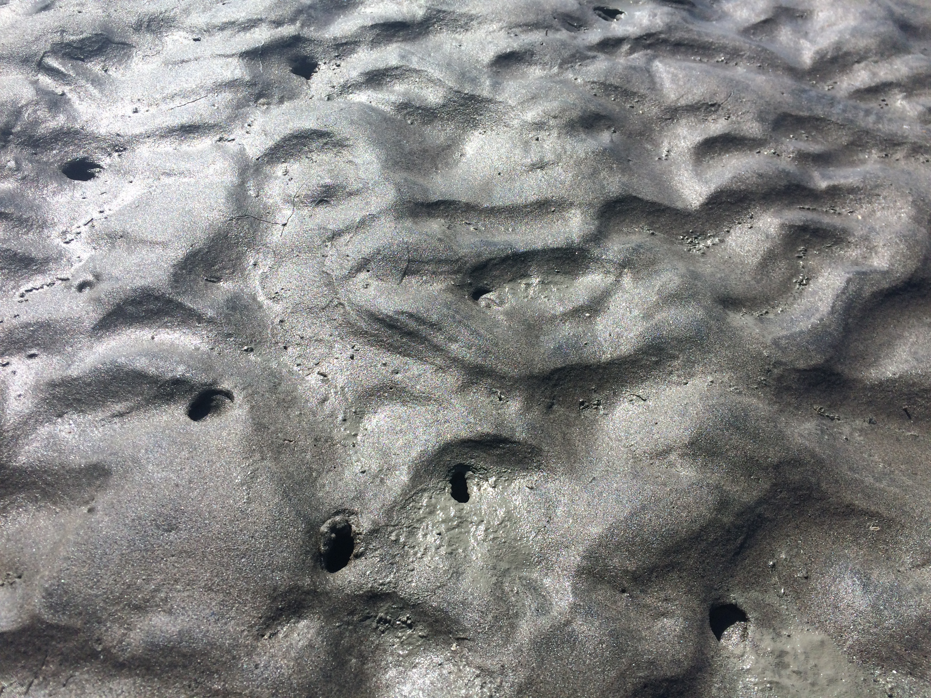 beach with holes in it