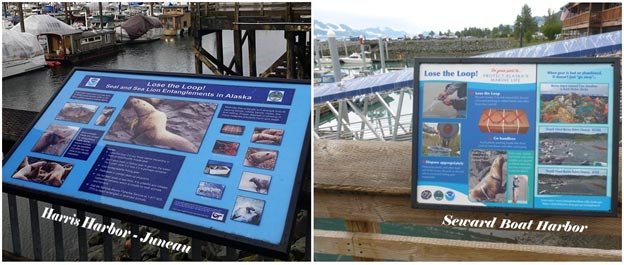 Lose the Loop Displays in Juneau and Seward harbors