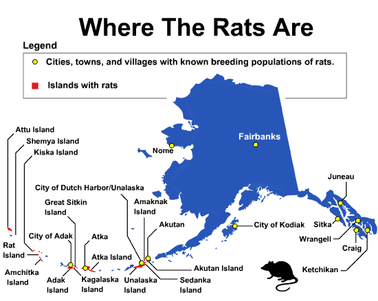 Distribution of rats in Alaska