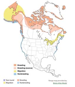 Red-throated Loon range map