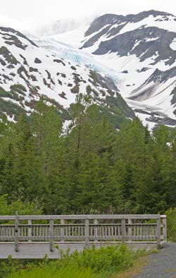 Williwaw trail